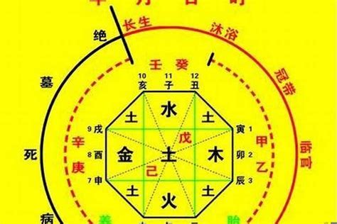 喜用神火木|掌握八字专旺格：喜用神为火木的命理解析